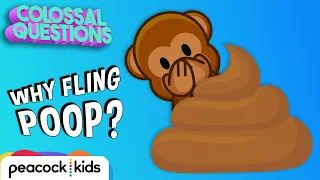 Why Do Chimps Fling Poop? | COLOSSAL QUESTIONS #CampYouTube #WithMe