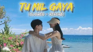 SRIKANTH: TU MIL GAYA (SLOW + REVERB) | RAJKUMMAR RAO, ALAYA | JUBIN NAUTIYAL,TANISHK |aMe