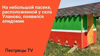 На небольшой пасеке, расположенной у села Уланово, появился апидомик.