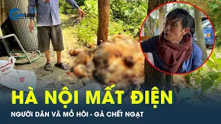 Dân Hà Nội vật vã sống chung với cảnh thiếu điện, gà nuôi chết hàng loạt vì nóng | CafeLand