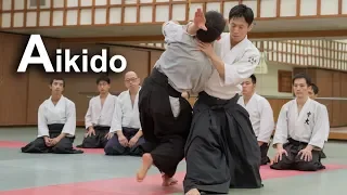 Aikido Dynamic and smooth techniques - Shirakawa Ryuji shihan