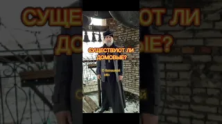 Существуют ли домовые. История священника #shorts