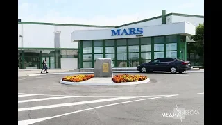 Медиавывеска P8 RGB для фабрики "Mars" г.Ступино Московская область