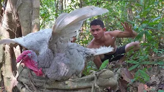 Amazing Video 2021 - Hunting Wild Chicken Turkey n Cooking Eating Delicious in Forest