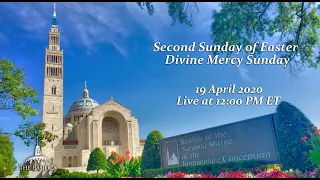 Divine Mercy Sunday - April 19, 2020