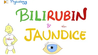 Bilirubin Metabolism & Jaundice | Gastrointestinal Physiology & Pathology