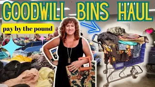 Who Would Throw This Back?! ~ Goodwill Outlet BINS HAUL ~ THRIFT HAUL To Resell On Ebay