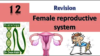 Revision Female genital system-Histology