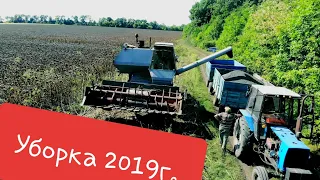 Уборка подсолнуха Белла, Хайсан. Донетчина 2019г..