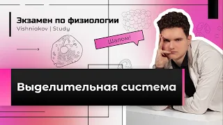 Экзамен по физиологии | ВЫДЕЛИТЕЛЬНАЯ СИСТЕМА