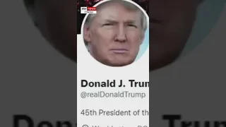 Donald Trump's Twitter account reinstated