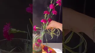 Flower arrangement with carnations