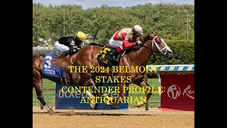2024 BELMONT STAKES CONTENDER PROFILES - ANTIQUARIAN