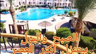 دايڤ أن ريزورت#شرم الشيخ#ارقى فنادق ⭐⭐⭐#بميزانية معقولة جدا@dive inn resort#sharm