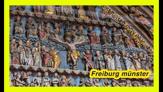 Freiburg Münster History