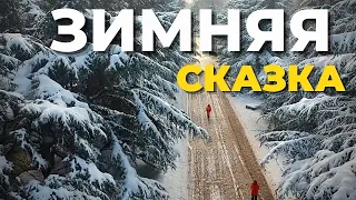 Зимняя сказка в Крыму. Гагаринский парк Симферополя