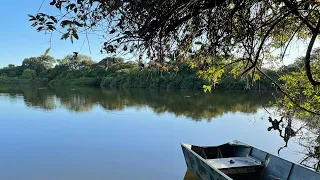 Fazenda a venda no Tocantins em Formoso do Araguaia/TO até 4 anos pra pagar#pecuaria#agriculture