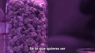 Wiz khalifa   Medicated al español