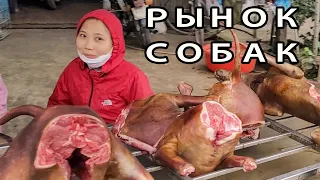 Рынок Собак Вьетнам Ханой 2023