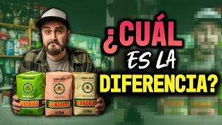 COMPARATIVA de Yerba Mate CANARIAS