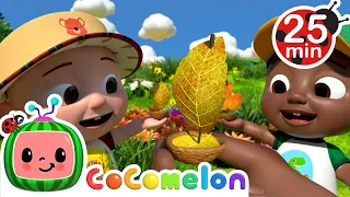 Row Row Stream Song | CoComelon - Cody's Playtime | Songs for Kids & Nursery Rhymes