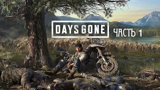 Жизнь после ( DAYS GONE) прохождение ps4 ЧАСТЬ 1 на русском