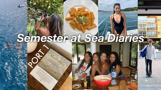 SPAIN VLOG: malaga,mallorca,granada | SEMESTER AT SEA DIARIES