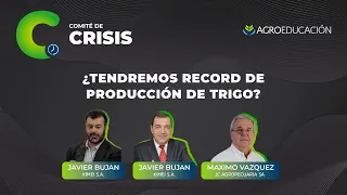 ¿Tendremos record de producción de Trigo? con Javier Bujan, Antonio Ochoa y Máximo Vázquez