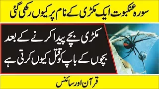 (Quran And Science )  Latest Scientific Research on Spider in Urdu/Hindi