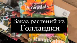 Растения из Голландии