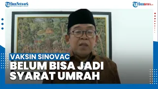 Vaksin Sinovac Belum Bisa Jadi Syarat Umrah, Wapres Minta Menkes Lobi Arab Saudi dan Cina