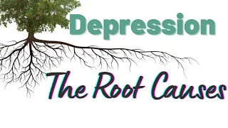 The root causes of depression. Address them now!