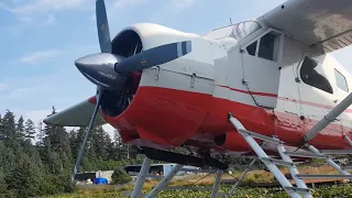 DHC-2 Beaver Startup