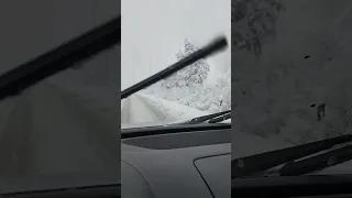 vw touareg vs snow