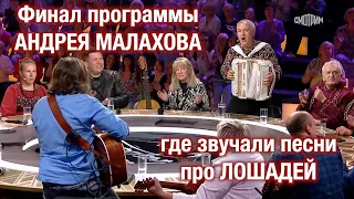 ФИНАЛ программы Андрея Малахова, где звучали песни про лошадей ❤️ ❤️ ❤️