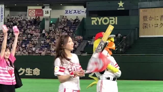 鷹の祭典2017 in 東京ドーム 試合開始前打込み (Jul 31, 2017)