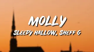 Sleepy Hallow ft. Sheff G - Molly (Lyrics)