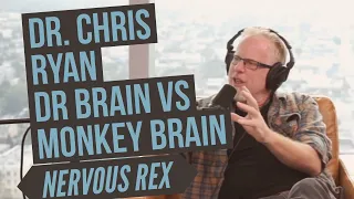 Nervous Rex |  Dr. Chris Ryan: Dr. Brain vs Monkey Brain | Episode #2