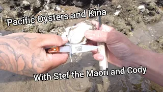 Catch and Cook Pacific Oysters and Kina with Stef the Maori and Cody in Kerikeri