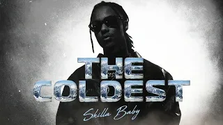 Skilla Baby - Misfits ft. Polo G [Official Visualizer]