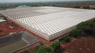 The largest retractable roof X frame project in Asia-Triangle Farm