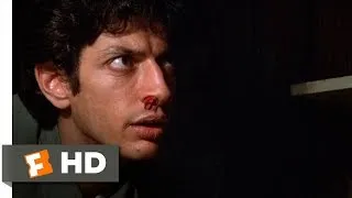 Invasion of the Body Snatchers (2/12) Movie CLIP - Examining a Pod Body (1978) HD