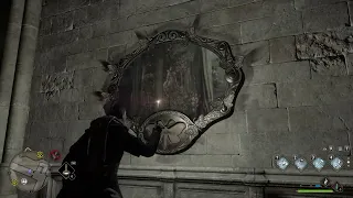 Hogwarts Legacy Moth Mirror: Pungent Passage