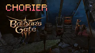 #6. Baldur's Gate 3. Полное прохождение за плута. Гайд. Воровство.