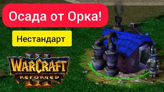 Осада от Орка! Нестандaрт‼️ Infi (Orc) vs 15sui (Ne) Warcraft 3 Reforged