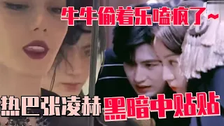 【SUB】Dilraba was so frightened that she threw herself into Zhang Linghe’s arms!  | The Truth2
