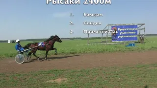 Рысаки 2400м 10.06.2023 Маломолево