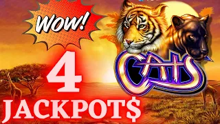 OMG 4 Handpay JACKPOTS On High Limit CATS Slot Machine