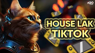 HOUSE LAK TIKTOK #7🎧NHẠC REMIX TIKTOK 2024🎧MIXTAPE DEEP HOUSE, VIET DEEP, HOUSE LAK