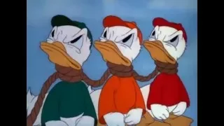 Donald Duck & Nephews Episodes Full Episodes    Truant Officer Donald